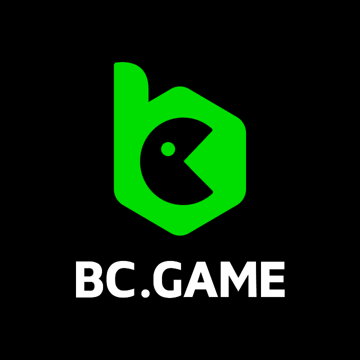 Understanding Payment Methods at BC Game